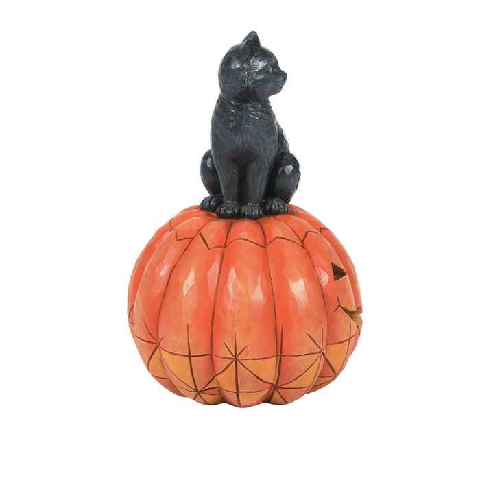 Enesco Black Cat On Pumpkin LED Fig