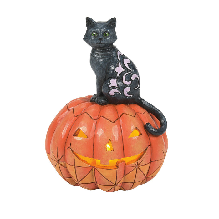 Enesco Black Cat on Pumpkin LED Fig