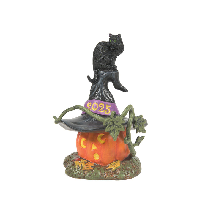 Enesco Feline Noir 2025