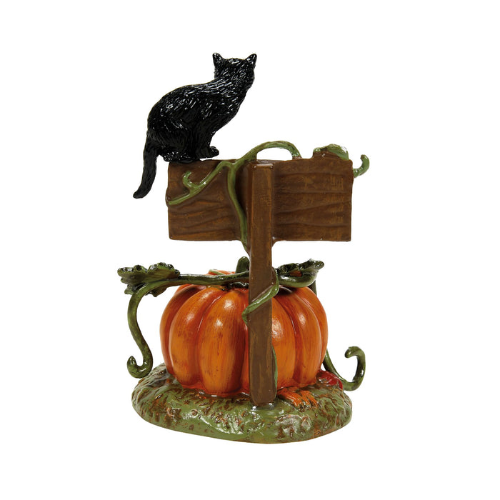 Enesco Feline Noir Debut 2024
