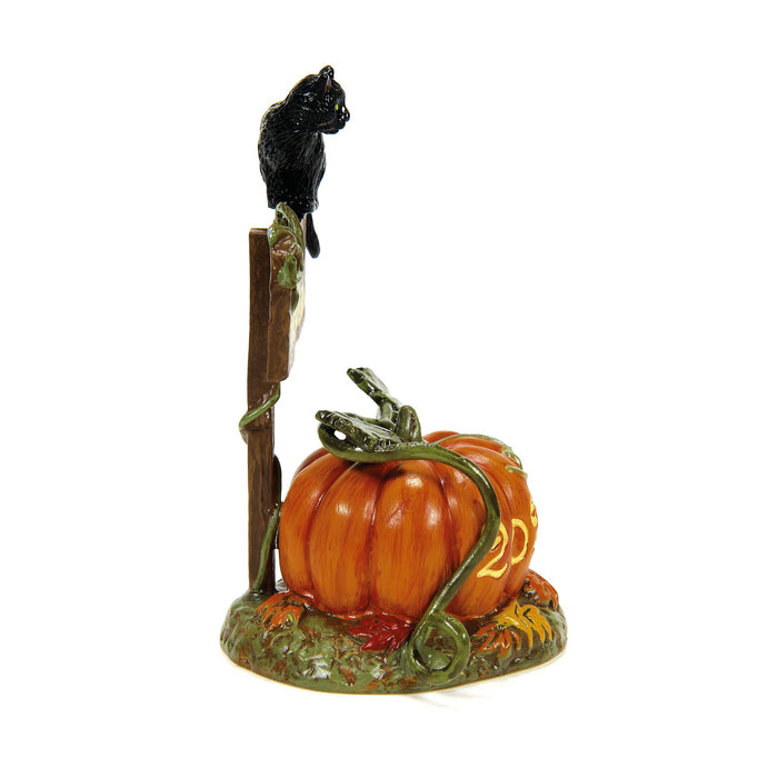 Enesco Feline Noir Debut 2024