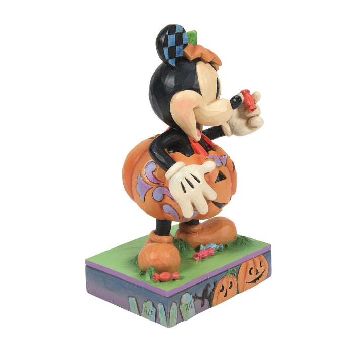 Enesco Mickey Pumpkin Costume
