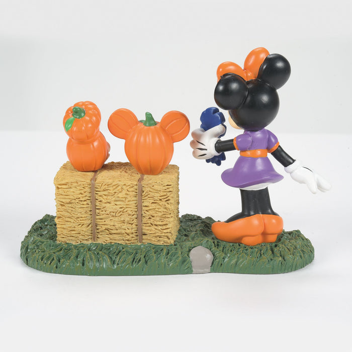 Enesco Minnie Picks A Winner