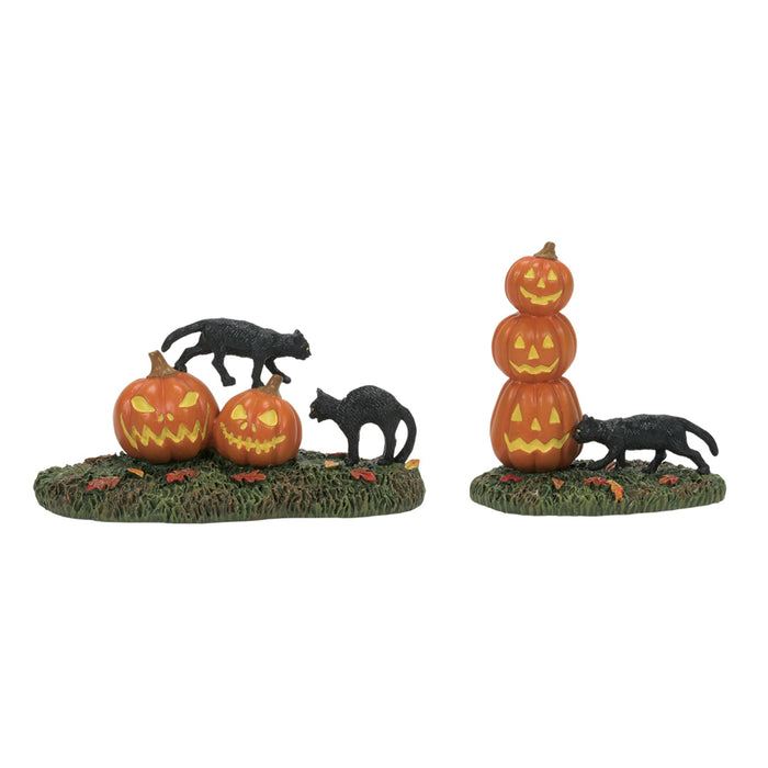 Enesco Scary Cats Pumpkins ST/2