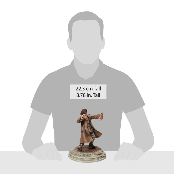 Enesco Sirius Black With Wormtail