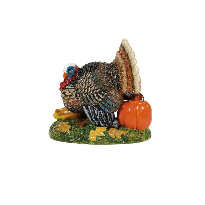Enesco Tom Turkey