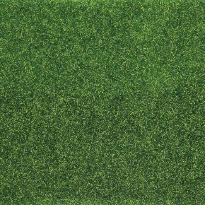 Enesco Turf Ground Cover