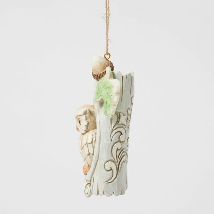Enesco Wdlnd Owl In Tree Ornament