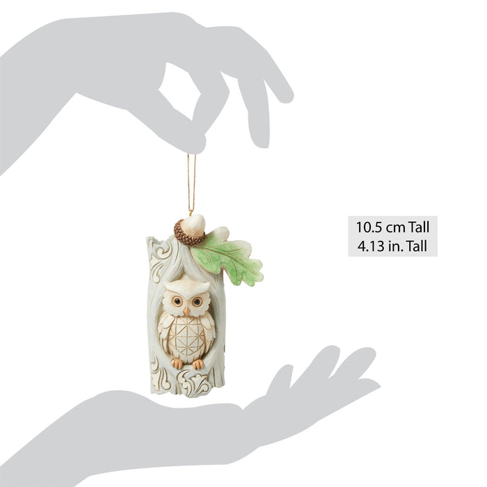 Enesco Wdlnd Owl In Tree Ornament