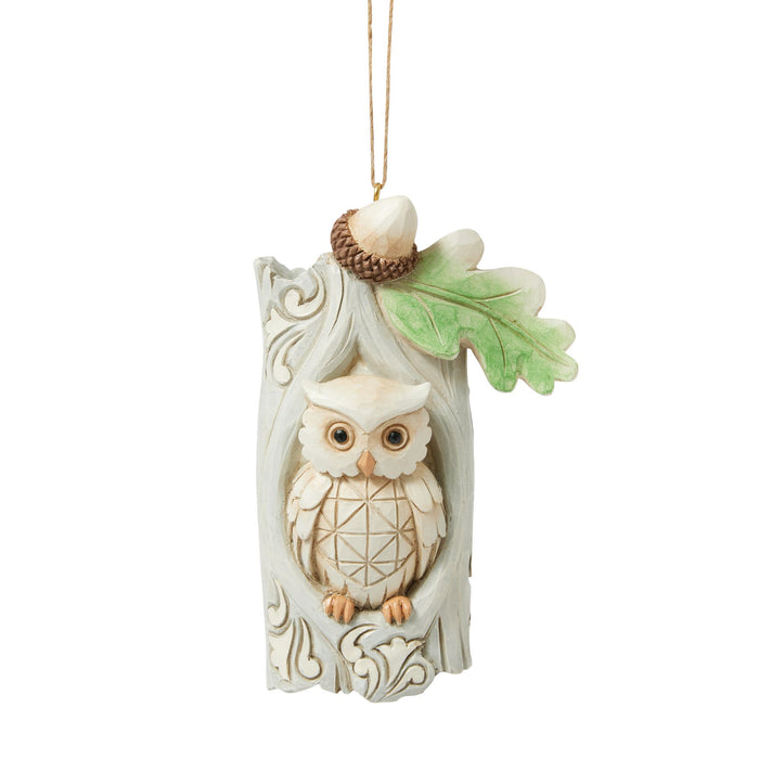Enesco Wdlnd Owl in Tree Ornament